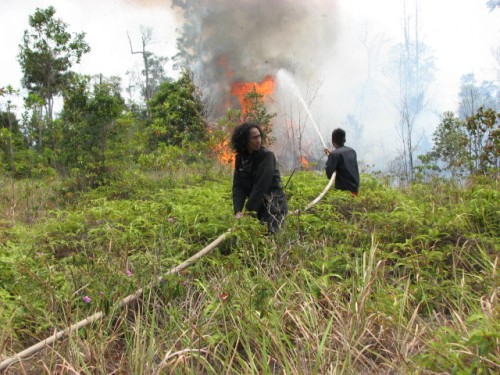 OFI rangers fighting fire on eastern side of Tanjung Puting Nationa Park